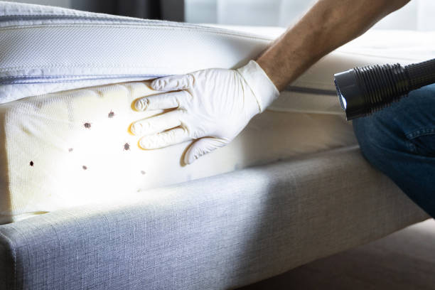 Best Exterminator Services  in Holt, MI
